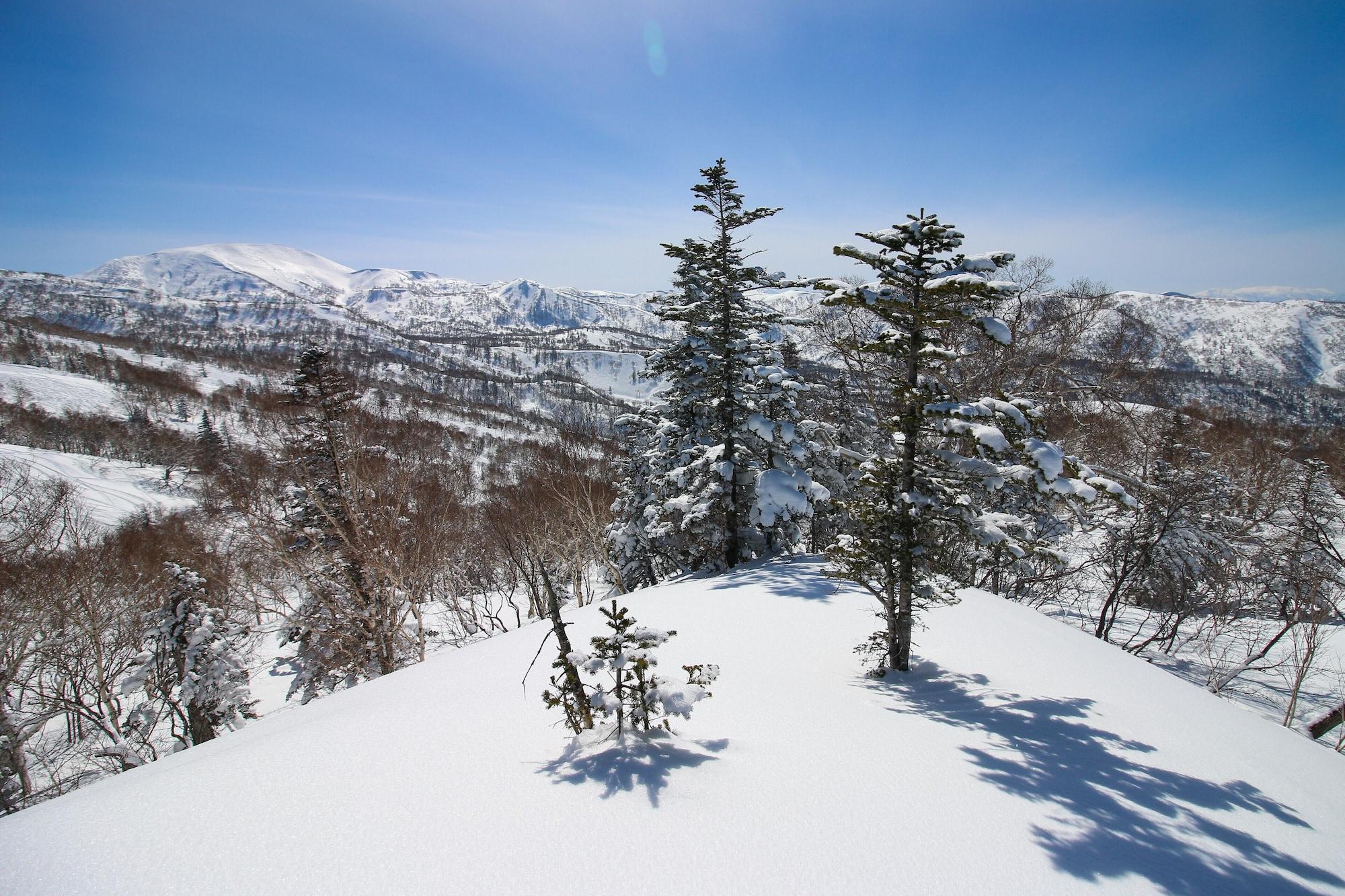 Sheraton Hokkaido Kiroro Resort Akaigawa Extérieur photo
